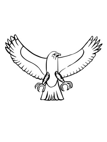 Osprey Bird Coloring Page